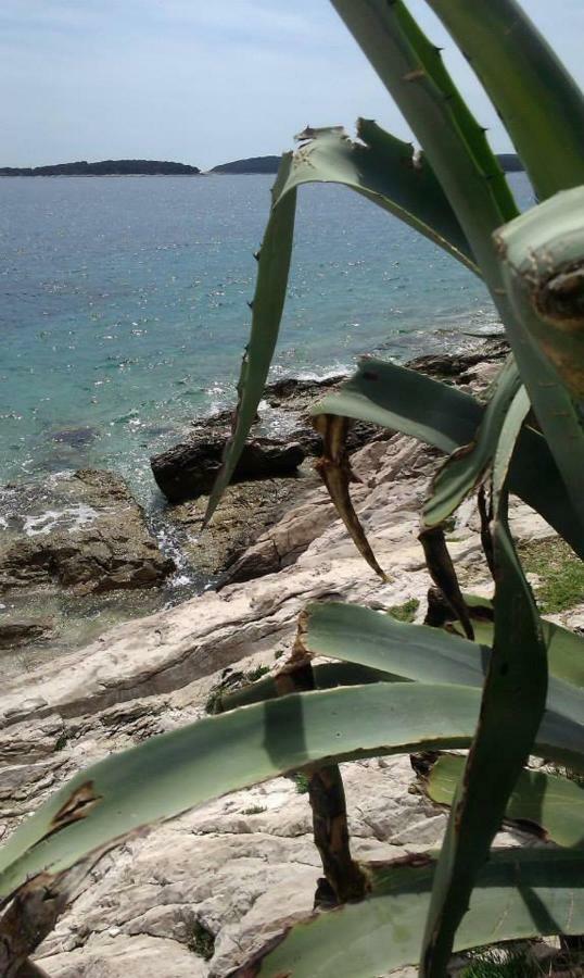 Liza'S Downtown Apartment Hvar Town Exterior foto